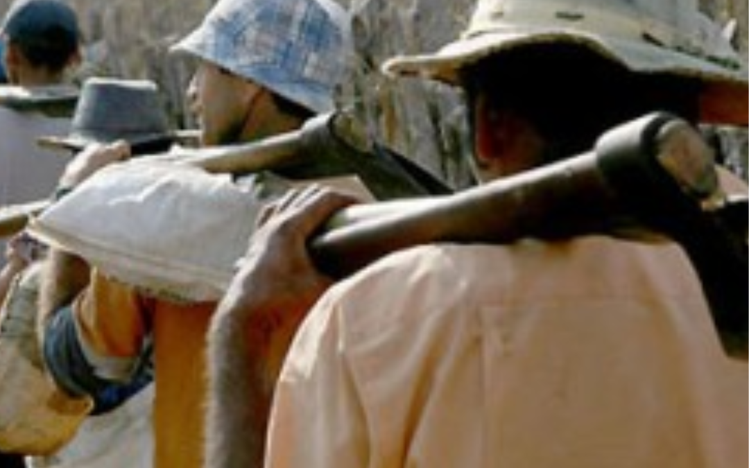 Trabalho em condições análogas às de escravo – ação no STF visa regulamentar a expropriação de propridades