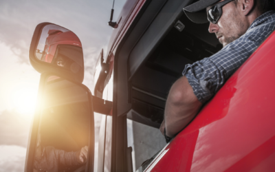 Motorista profissional – inconstitucionalidade de dispositivos da lei nº 13.103/2015 sobre jornada e intervalos para descanso