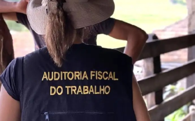 Embargo e interdição – União Federal reconhece a competência dos auditores-fiscais do trabalho