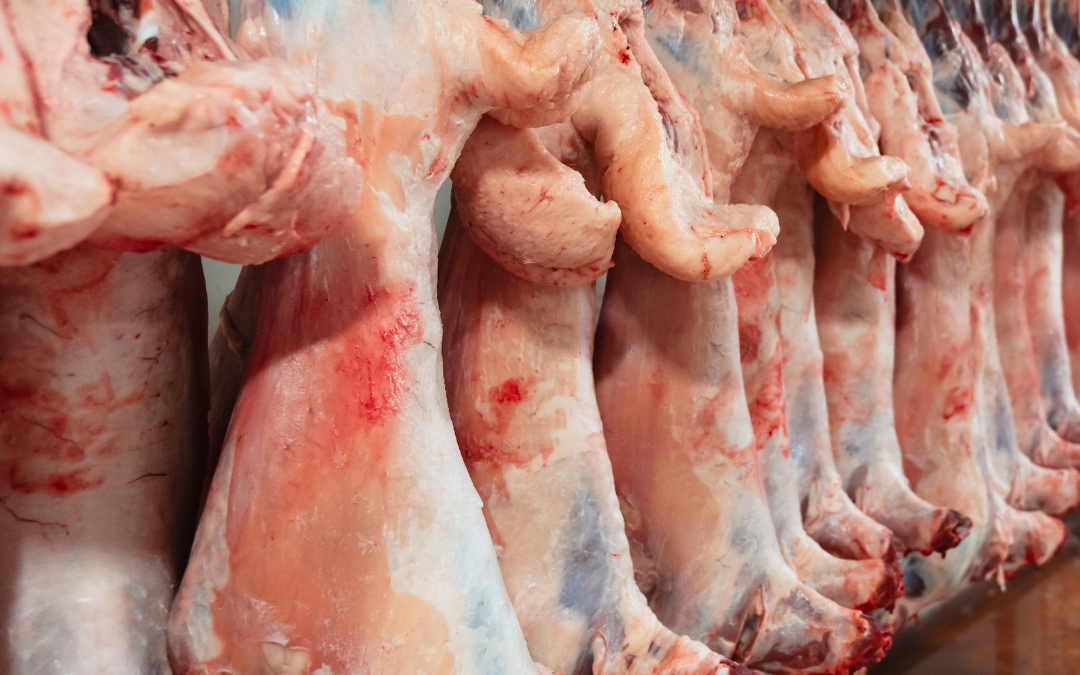Abate e processamento de carnes e derivados – MTE aprovou a nova redação da NR-36