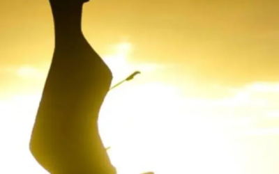 Aposentadoria – STF reafirmou decisão que afastou a tese da revisão da vida toda